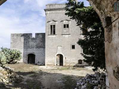 Muoviamo i primi passi nel cortile, dove spuntano qua e l� dei fichi d'india